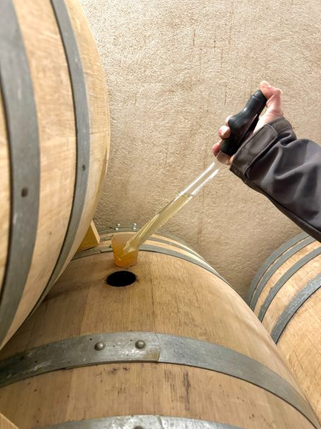 Suivi régulier de nos vins