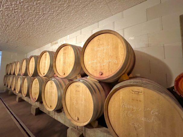 Élevage de nos Grands Vins en tonneaux de 228L en Chêne Français